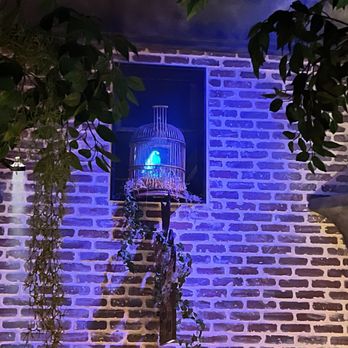 Undertow - Arcadia - Bar - Tiki Bars Near Me - Phoenix, Arizona