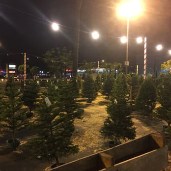 Sonshine Christmas Trees - A little taste of fresh trees - Christmas Trees Near Me - La Habra, California Sonshine Christmas Trees - A little taste of fresh trees - Christmas Trees Near Me - La Habra, California