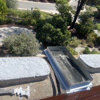 QueenB Live Bee Removal - Pest Control Near Me - San Diego, California QueenB Live Bee Removal - Pest Control Near Me - San Diego, California
