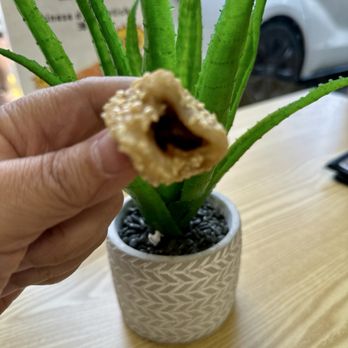 Bo’s Kitchen - Sesame ball aka mini Jindui - Chicken Wings Near Me - Honolulu, Hawaii