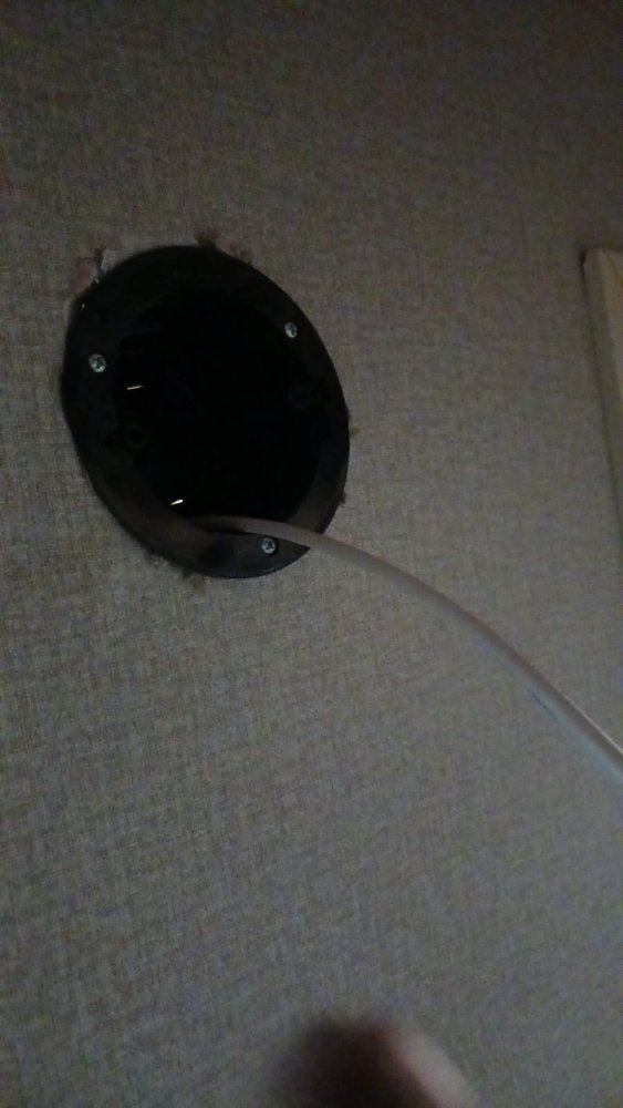 First Family Electric Updated July 2025 Colorado Springs Colorado first-family-electric-updated-july-2025-colorado-springs-colorado