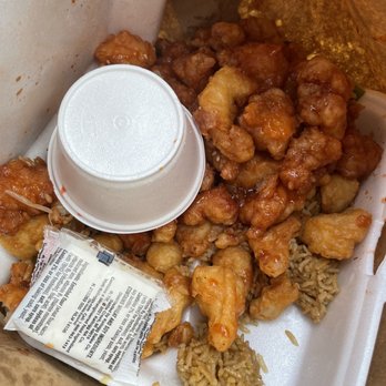 Dynasty Chinese Food - Food I wouldn't give my dead dog - Chinese Near Me - Dearborn Heights, Michigan