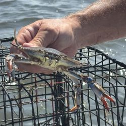 Old Man Charters