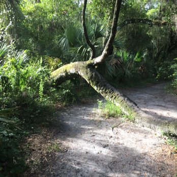 Barr Street Trailhead - Over or Under - Hiking Near Me - Oviedo, Florida Barr Street Trailhead - Over or Under - Hiking Near Me - Oviedo, Florida