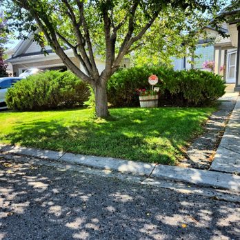 Tojo Yard Service - Lawn Services Near Me Tojo Yard Service - Lawn Services Near Me