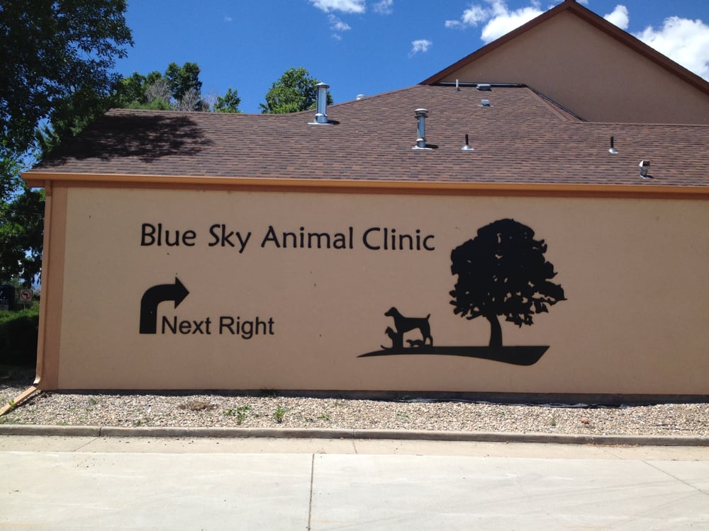 Blue Sky Animal Clinic - pet boarding facility in Loveland, CO