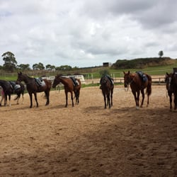 Kirby Park Riding School and Historic Hahndorf Trail Rides - Off for a trail ride with the gals!