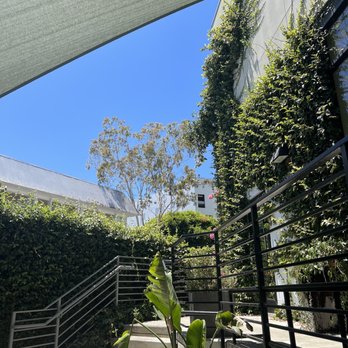 Loqui - A glimpse into the patio area - Tacos Near Me - Culver City, California Loqui - A glimpse into the patio area - Tacos Near Me - Culver City, California