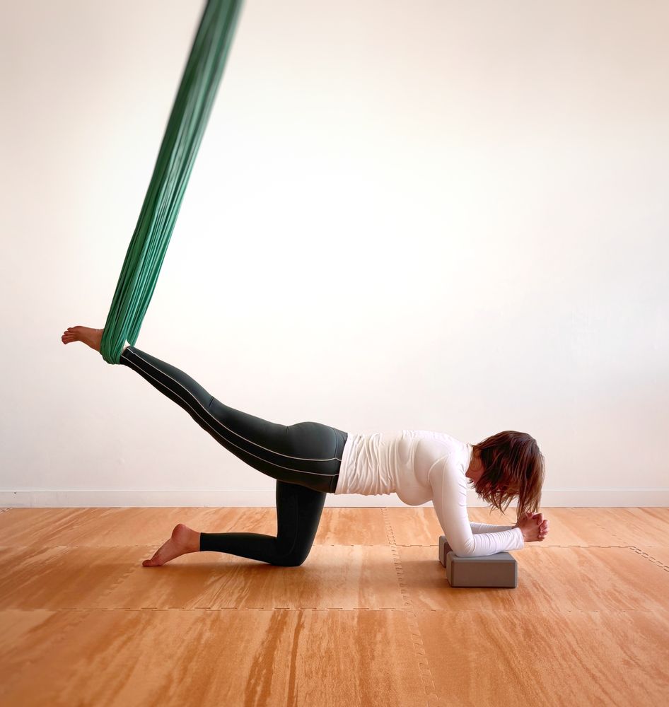 The Yoga Studio Logo