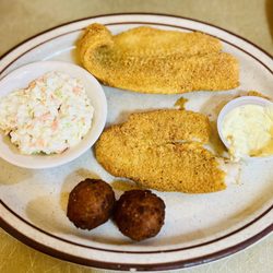 Taste of Dandridge - Cat fish dinner