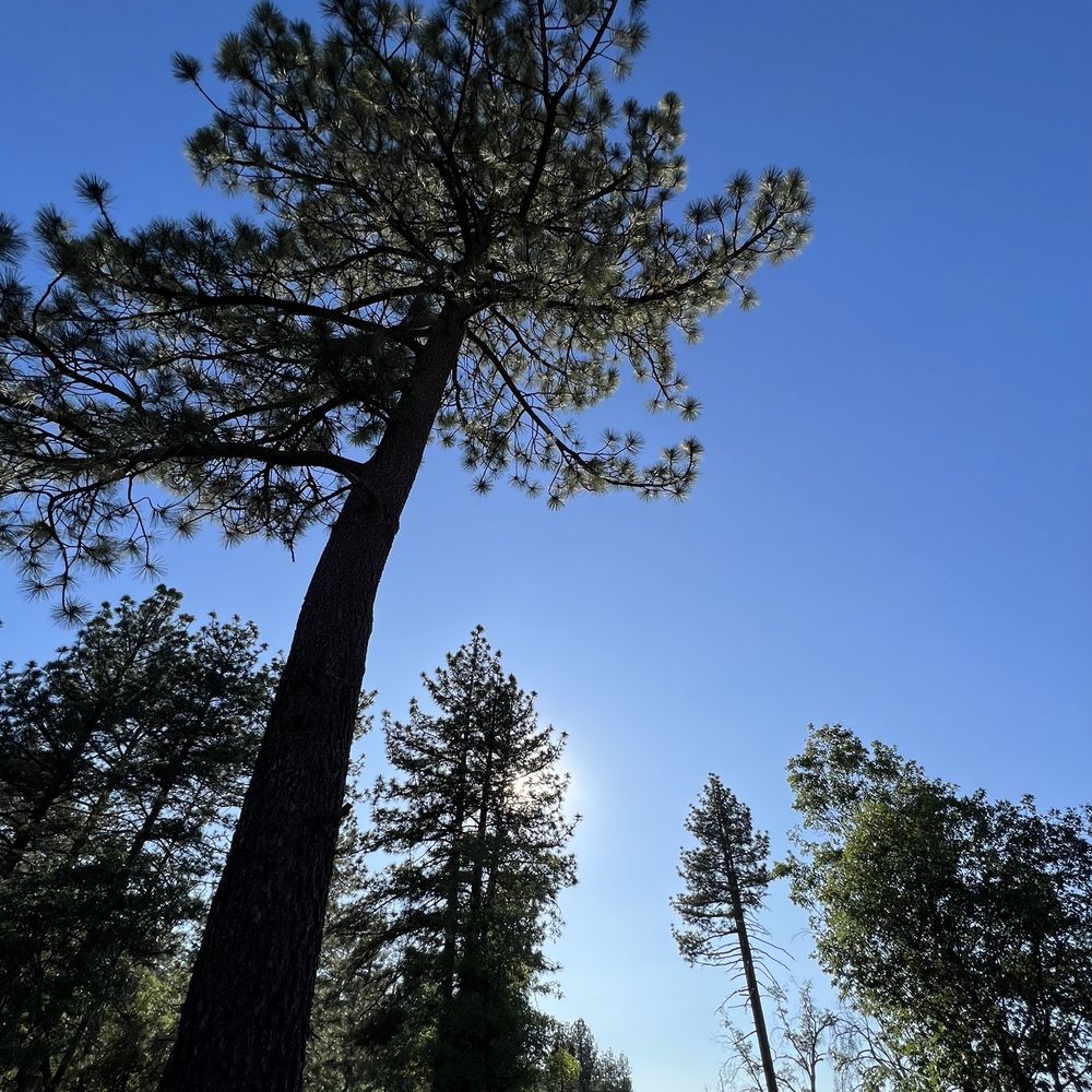 Foster Point - Hiking Near Me