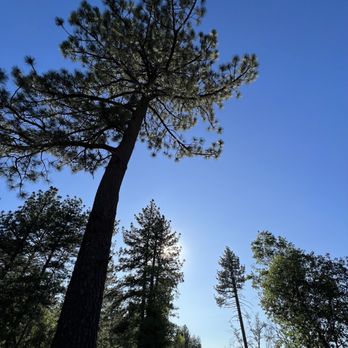 Foster Point - Hiking Near Me