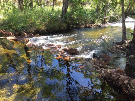 Litchfield National Park by null