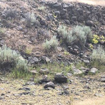 Lake Cascade State Park - Crown Point Trail - Parks Near Me - Cascade, Idaho