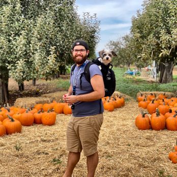 Gizdich Ranch - Cute little stop to get your fill of pie, apple cider, and pumpkins! Dogs are allowed on leash. - Bakeries Near Me - Watsonville, California Gizdich Ranch - Cute little stop to get your fill of pie, apple cider, and pumpkins! Dogs are allowed on leash. - Bakeries Near Me - Watsonville, California