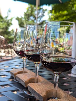 Cape May Winery & Vineyard by null