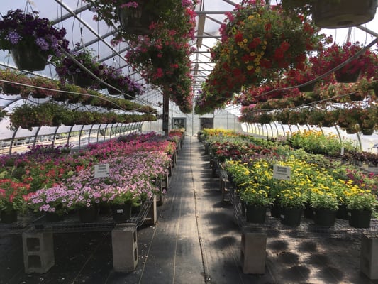 Shady Hill Greenhouse Nursery 1 Adams Rd Londonderry Nh Nurseries Mapquest - Garden Centers In Londonderry Nh