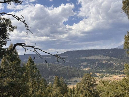 Jake's Horses Inc. by null