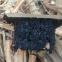Photo of Classic Chimney Sweeps