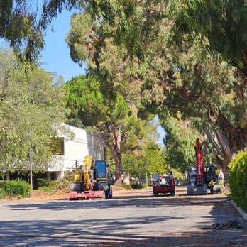 P & J Tree Services - Tree Services Near Me - Fairfield, California