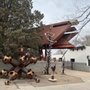 Photo of Spaceship UFO House