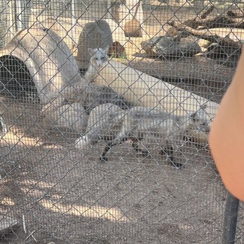 Phoenix Herpetological Society - Community Service/Non-Profit Near Me