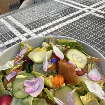 Twelvemonth - Vegan Near Me - Burlingame, California Twelvemonth - Vegan Near Me - Burlingame, California