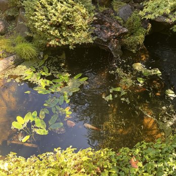 Osmosis Day Spa Sanctuary - Koi Pond in tea experience garden - Massage Near Me - Freestone, California Osmosis Day Spa Sanctuary - Koi Pond in tea experience garden - Massage Near Me - Freestone, California