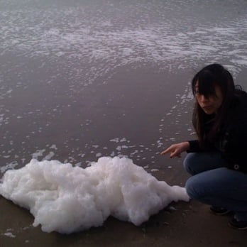 Ocean Beach - Why people need to stop polluting. - Parks Near Me - San Francisco, California