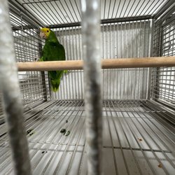 Bill's Bird Boutique