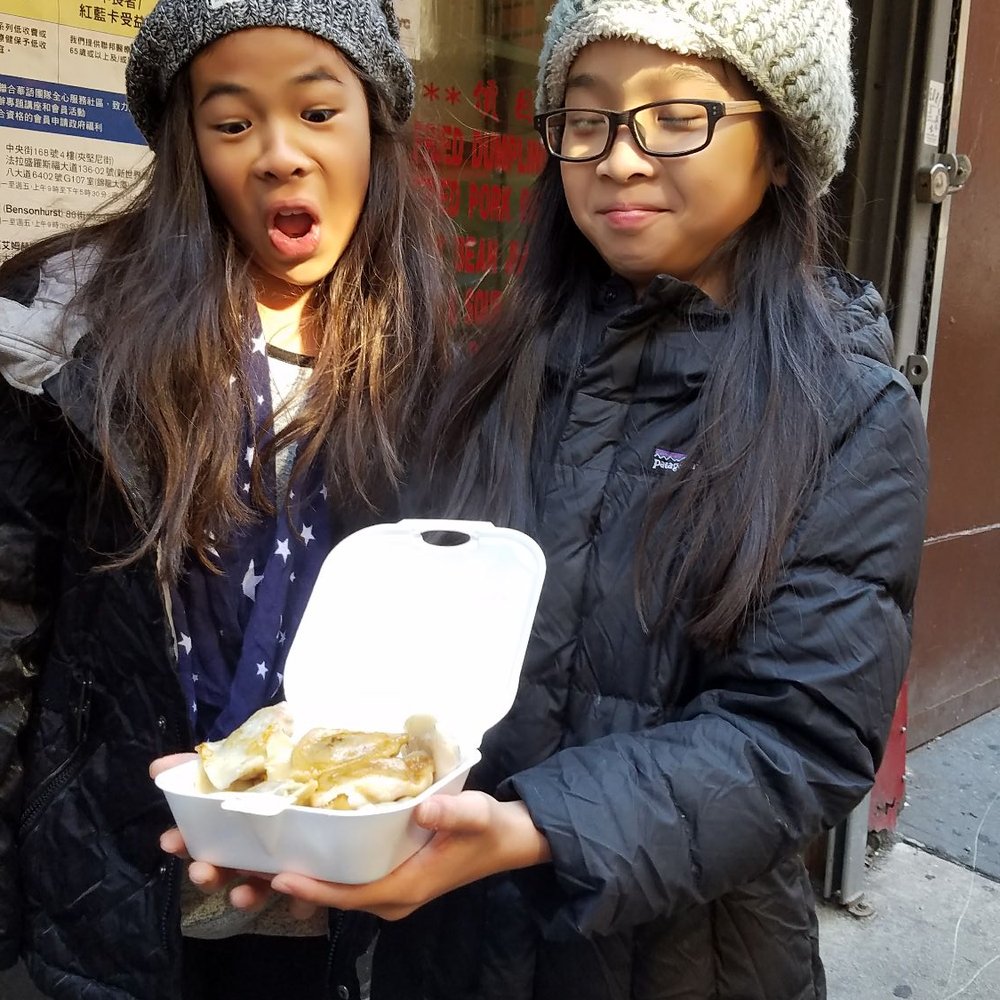 Fried Dumpling - Chinese Near Me - New York, New York Fried Dumpling - Chinese Near Me - New York, New York