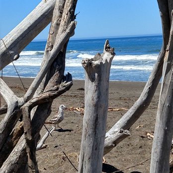 Fogcatcher Inn - One minute from your room... - Hotels Near Me - Cambria, California Fogcatcher Inn - One minute from your room... - Hotels Near Me - Cambria, California
