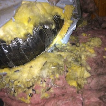 Zeek's Pest Control - Zeek's pest control, rodent dropping on insulation and air ducts. - Pest Control Near Me