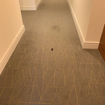 Circa LA Apartments - Pee stains are the norm in our hallway. - Apartments Near Me - Los Angeles, California