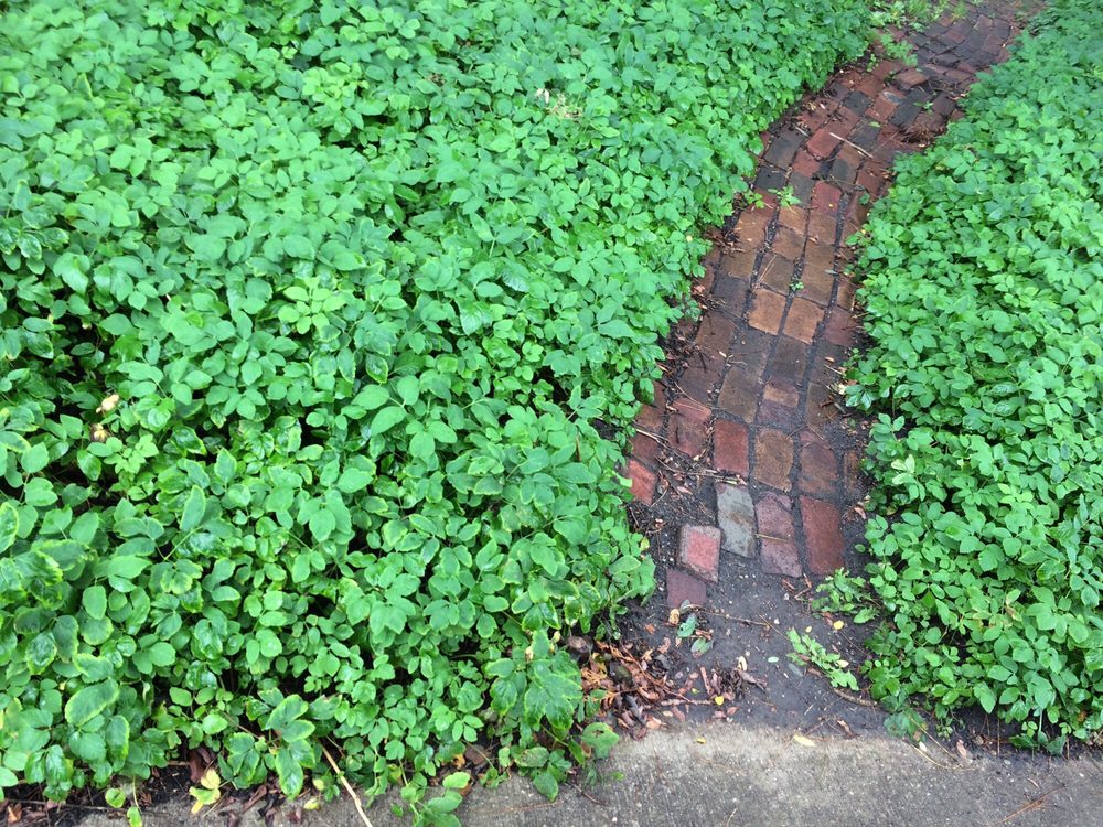 Wellhouse - social services organization in Grand Rapids, MI