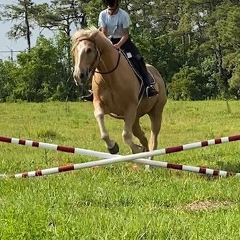 Star Rise Stable - Summer Camps Near Me - Christmas, Florida Star Rise Stable - Summer Camps Near Me - Christmas, Florida