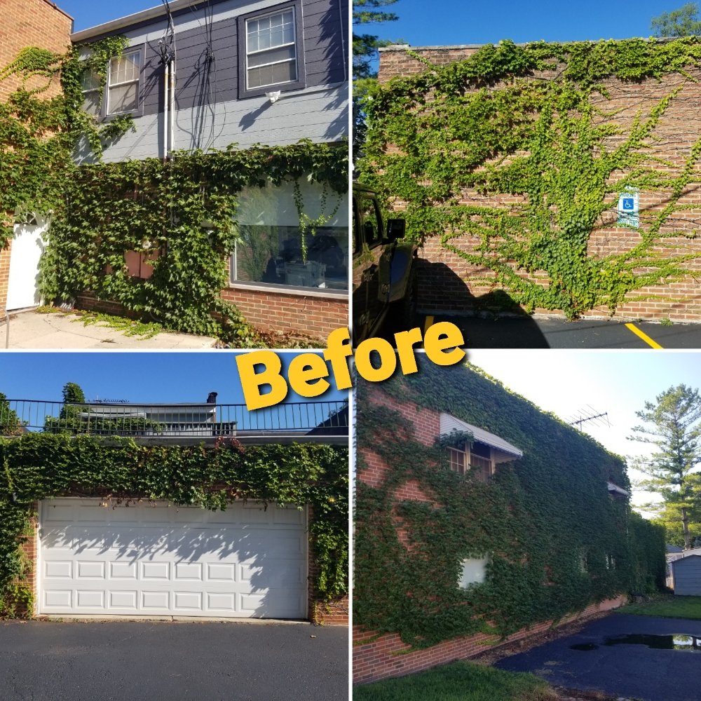 Slide of High Street Services