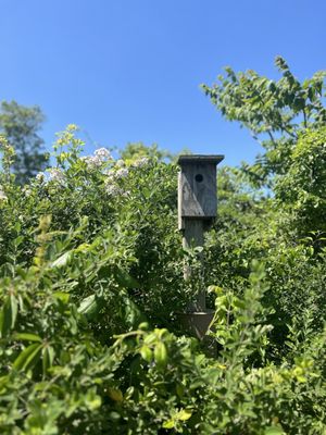 Jamaica Bay Wildlife Refuge by null