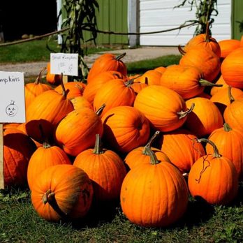 Erickson Orchard & Country Store - a pile of pumpkins - Antiques Near Me - Bayfield, Wisconsin Erickson Orchard & Country Store - a pile of pumpkins - Antiques Near Me - Bayfield, Wisconsin