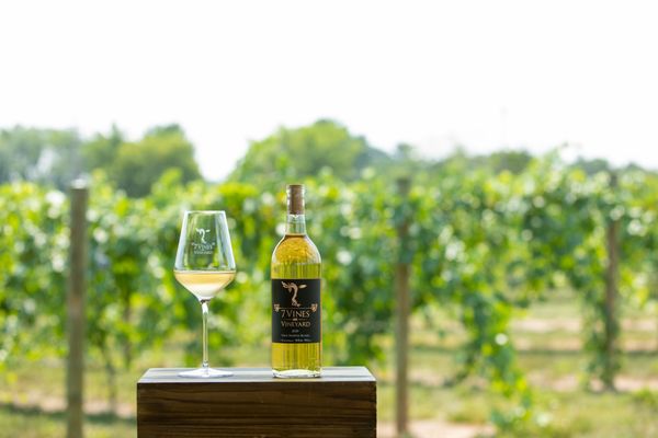 7 Vines Vineyard and Winery by null