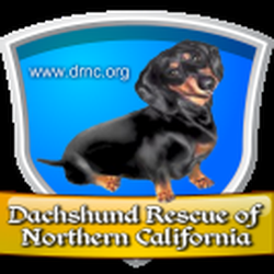 Dachshund Rescue of Northern California