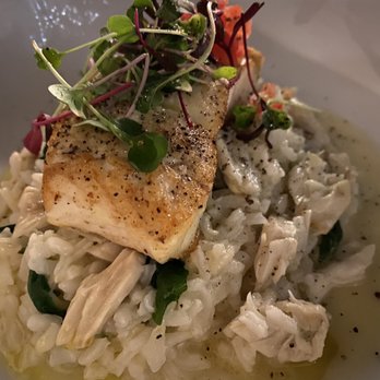 Toscana - Halibut and risotto - Italian Near Me - Charlotte, North Carolina Toscana - Halibut and risotto - Italian Near Me - Charlotte, North Carolina