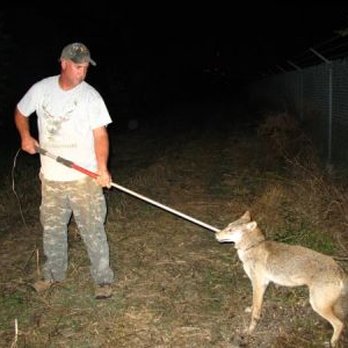 Trapper John Schmidt - Removal of Unwanted Animals - Wildlife Control Near Me Trapper John Schmidt - Removal of Unwanted Animals - Wildlife Control Near Me