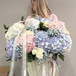 Aventura Balloons and Flowers - Big Hydrangeas Basket