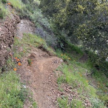 Moller Ranch Trails - Unmarked trail to Tehan Falls - Hiking Near Me - Pleasanton, California