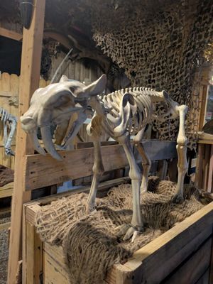 Backyard Terrors and Dinosaur Park by null