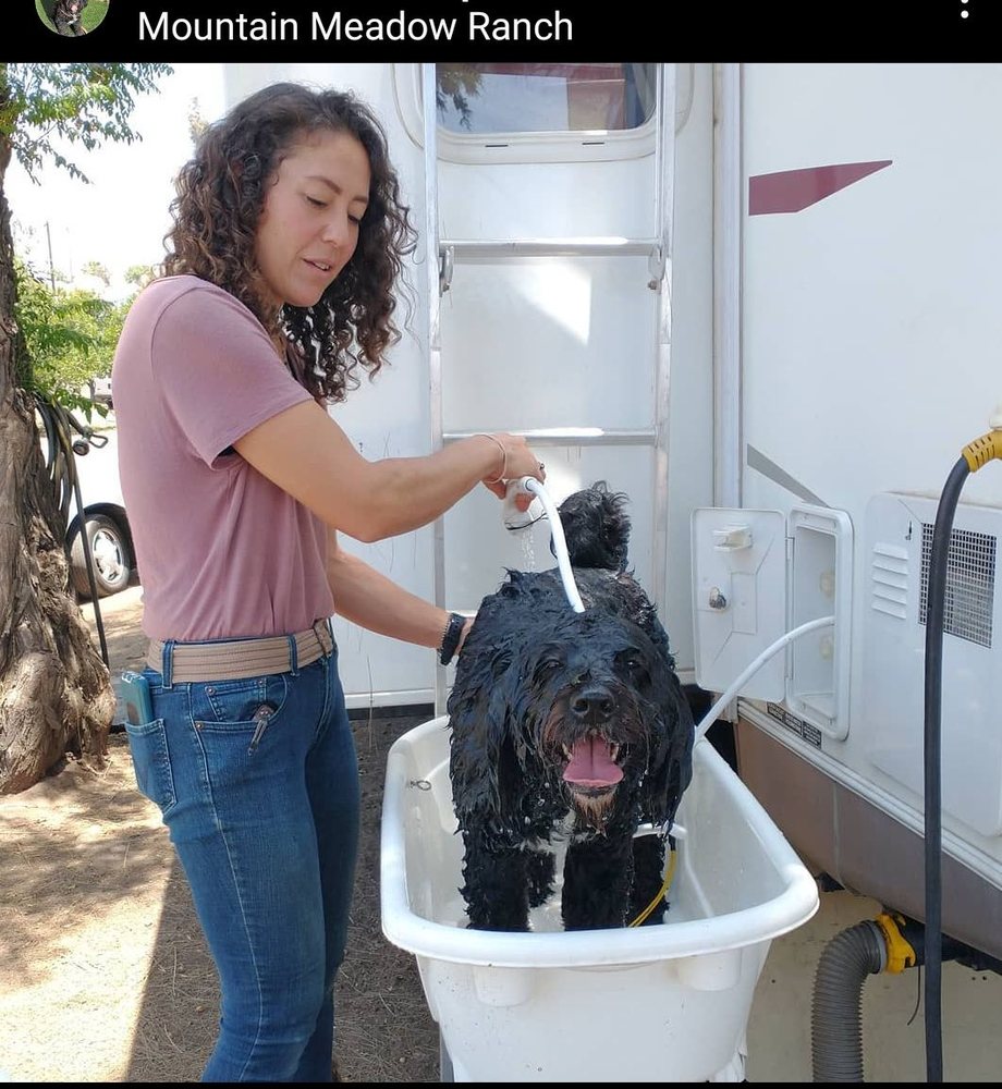 DOG GONE GREAT GROOMING & NAILS Updated October 2024 97 Photos & 42 Reviews San Diego