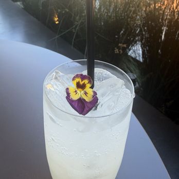 Vera Restaurant - Mock 3 - Cocktail Bars Near Me - Morgan Hill, California Vera Restaurant - Mock 3 - Cocktail Bars Near Me - Morgan Hill, California