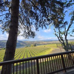 Garnier Vineyards