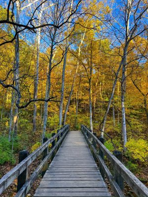 John Bryan State Park by null
